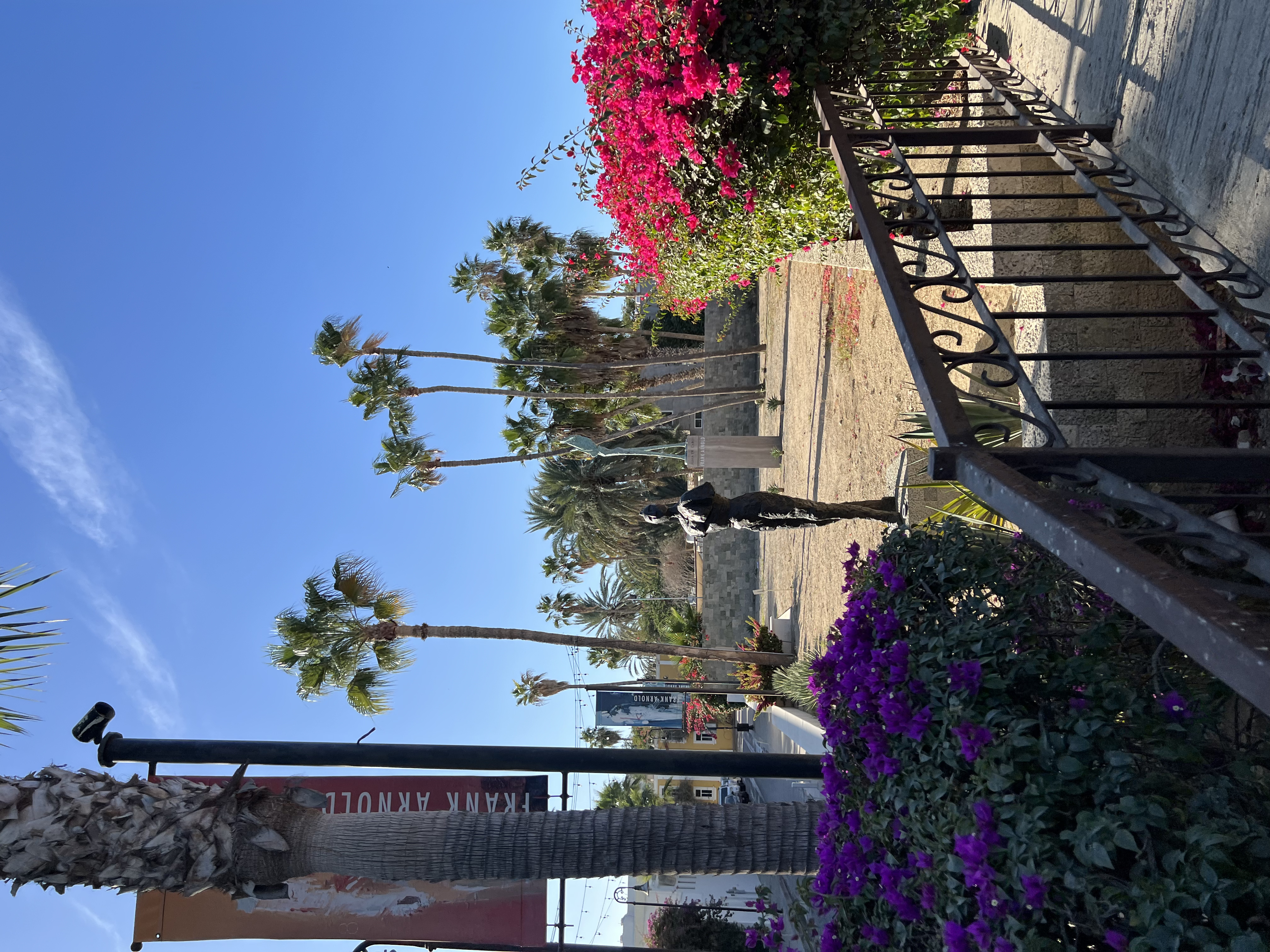 ./2024/13 - Cabo/IMG_4577.jpg